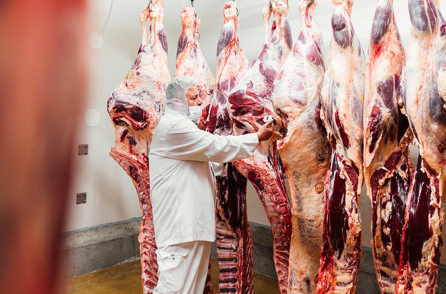 Mattfeld meat cutting company